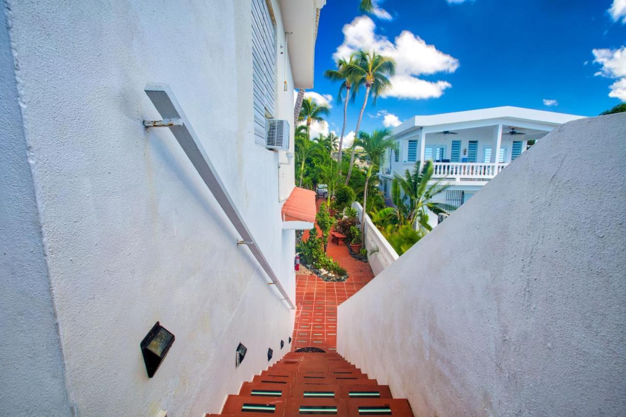 Coconut Palms Inn Rincón Extérieur photo