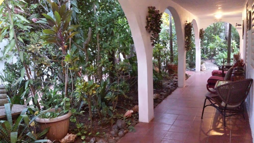 Coconut Palms Inn Rincón Extérieur photo