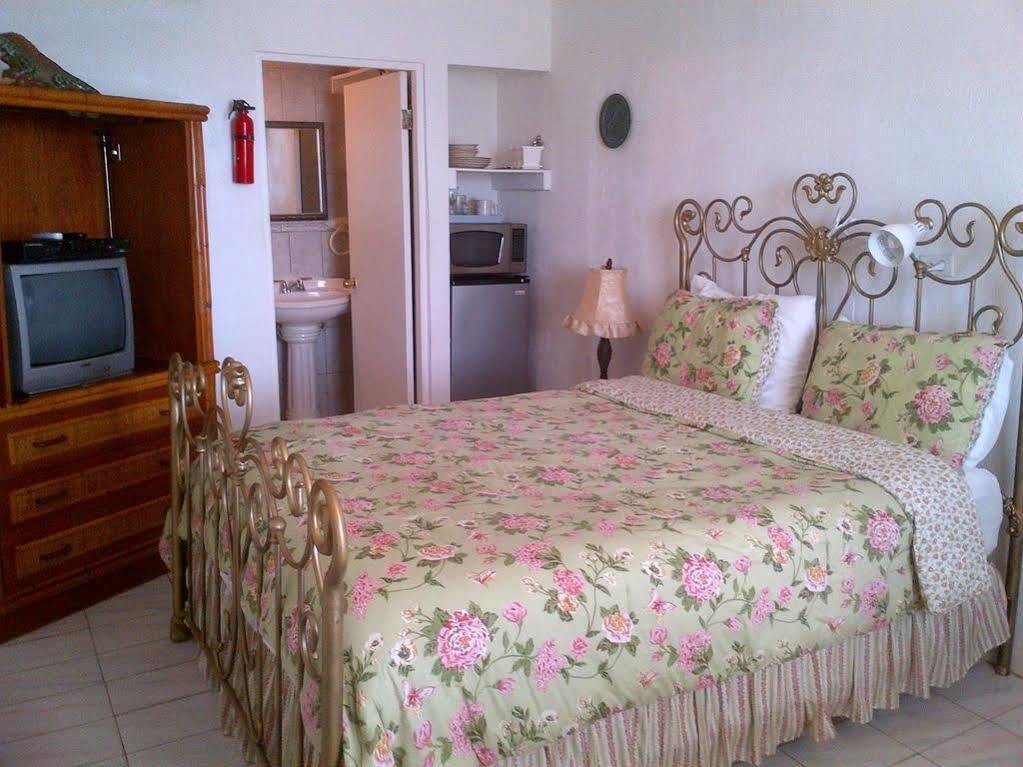 Coconut Palms Inn Rincón Extérieur photo