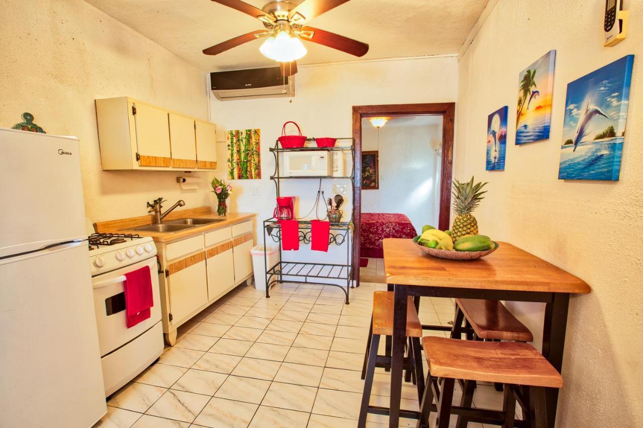 Coconut Palms Inn Rincón Extérieur photo
