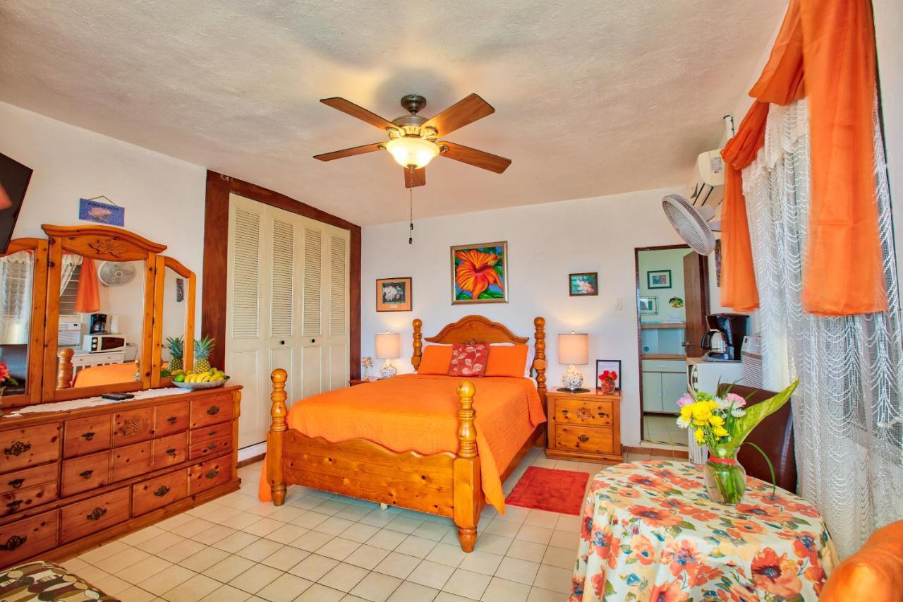 Coconut Palms Inn Rincón Extérieur photo