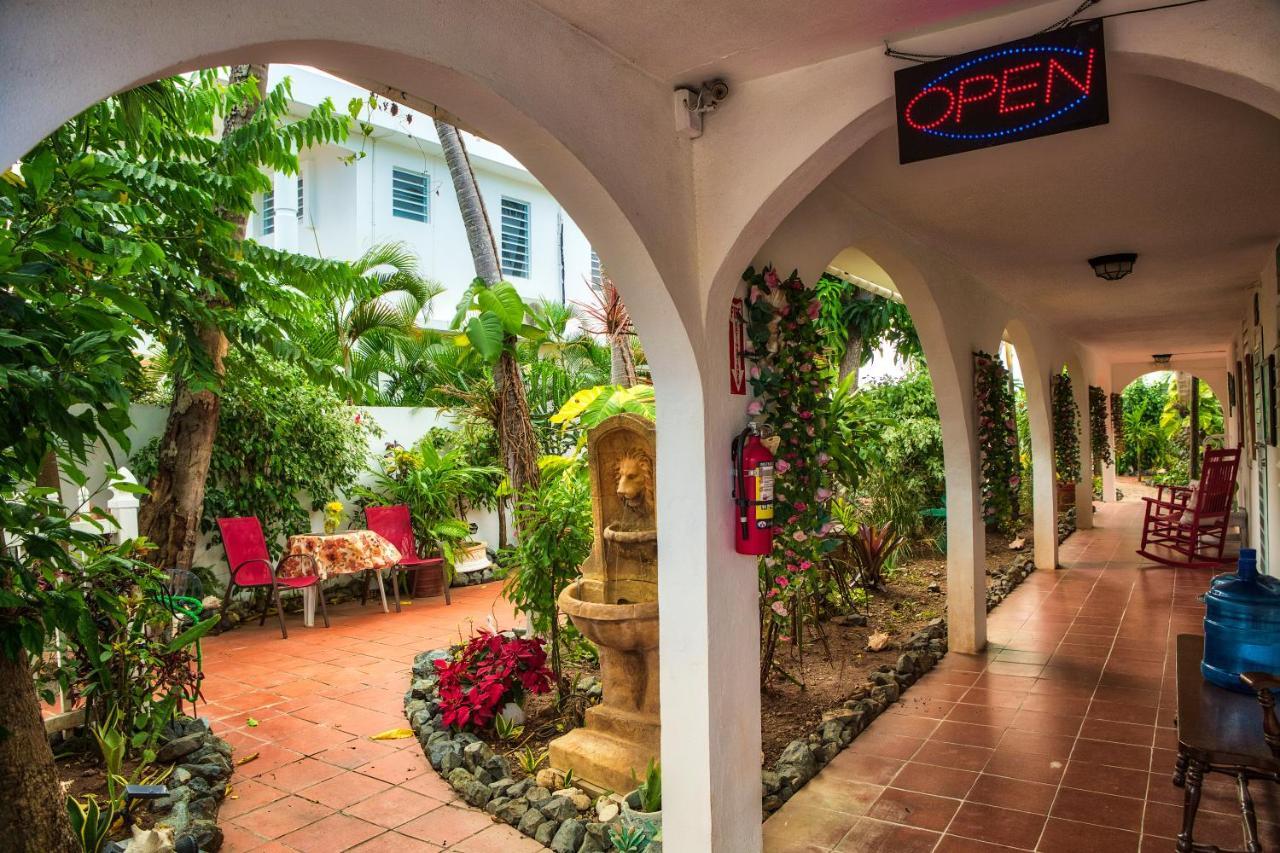Coconut Palms Inn Rincón Extérieur photo